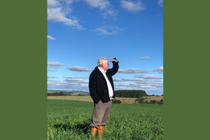 Aldo Vendramin explica como a engenharia aplicada aos silos garante eficiência, durabilidade e segurança operacional.