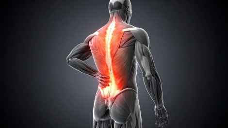 Gustavo Luíz Guilherme Pinto destaca como a recuperação muscular adequada é essencial para evitar lesões e potencializar a performance esportiva.