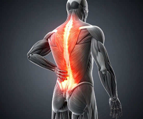 Gustavo Luíz Guilherme Pinto destaca como a recuperação muscular adequada é essencial para evitar lesões e potencializar a performance esportiva.