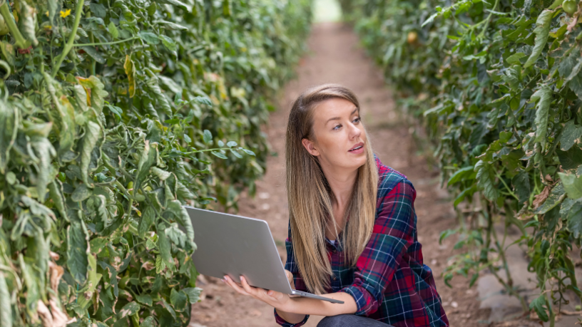O agronegócio entra numa nova era com a inteligência artificial e, segundo Sérgio Bento De Araújo, a inovação no campo já é um diferencial competitivo essencial.
