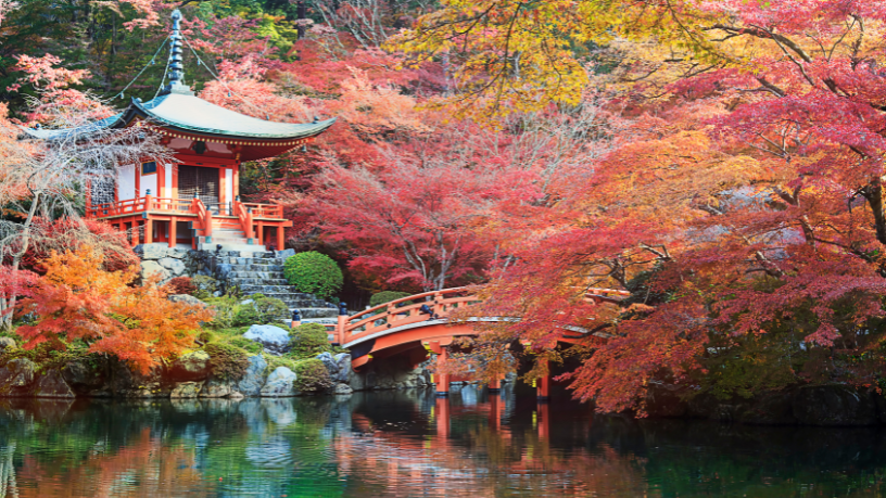 Alberto Toshio Murakami