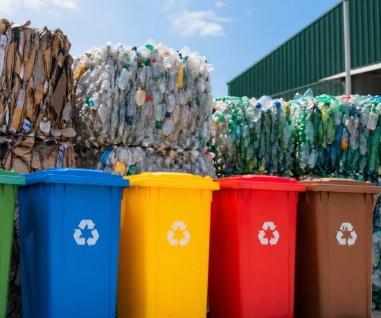 Odair José Mannrich