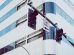 Semáforos instalados em uma via urbana, diante de edifícios