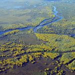 Paisagem de rio e áreas alagadas do Pantanal, com vegetação verde às margens e céu aberto
